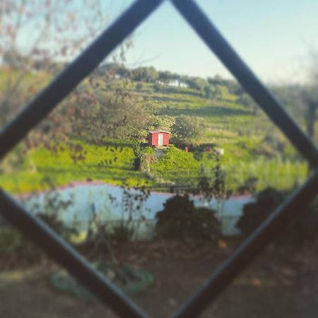 La Casa Barata, Casa Rural Cedillo 外观 照片