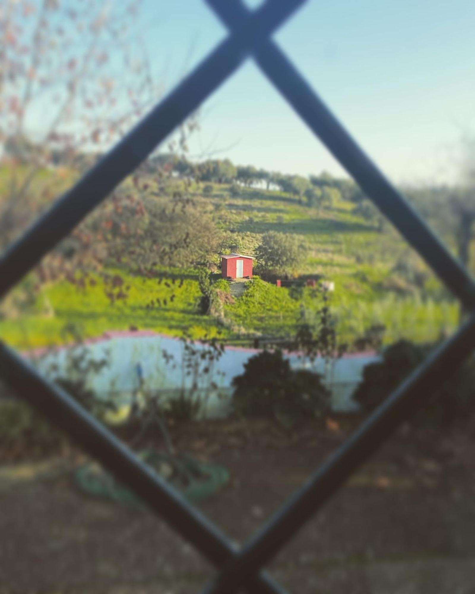La Casa Barata, Casa Rural Cedillo 外观 照片